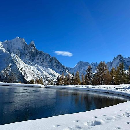 Happy Moose - Cosy Mont Blanc View Apartment Chamonix Ngoại thất bức ảnh