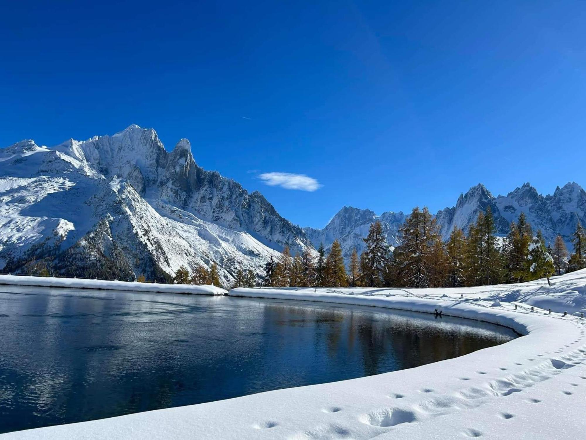 Happy Moose - Cosy Mont Blanc View Apartment Chamonix Ngoại thất bức ảnh